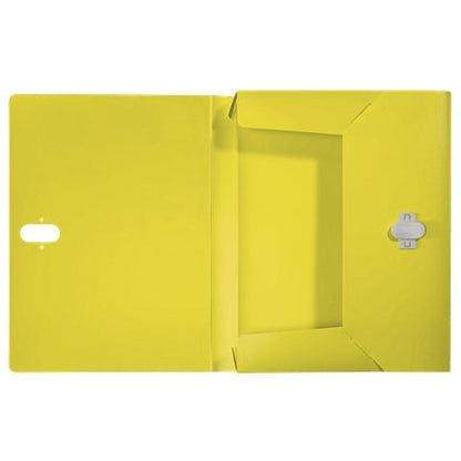 Leitz - 46230015 caja archivador 250 hojas Amarillo Polipropileno (PP)