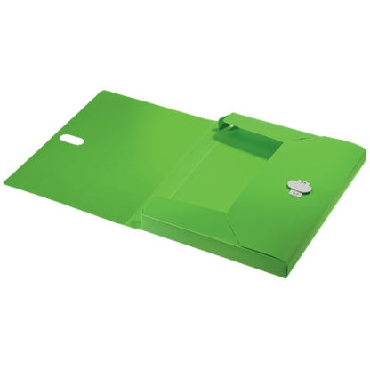 Leitz - 46230055 caja archivador 250 hojas Verde Polipropileno (PP)