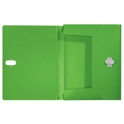 Leitz - 46230055 caja archivador 250 hojas Verde Polipropileno (PP)