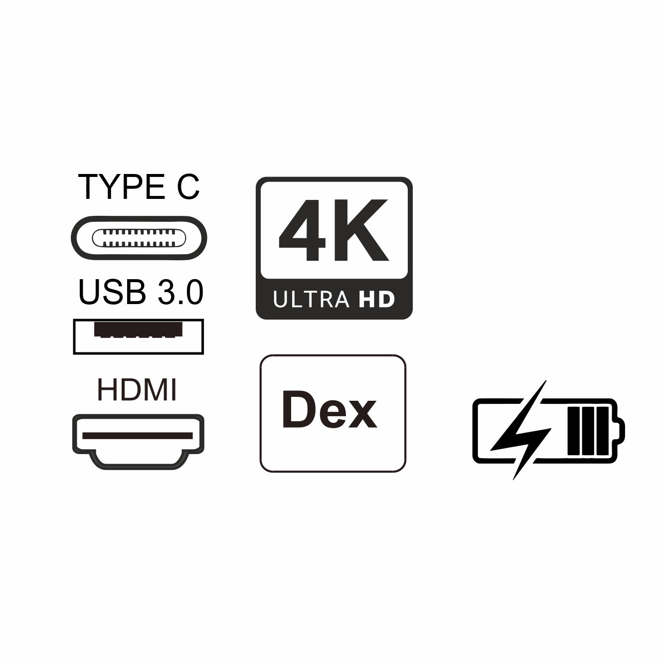 SilverHT - Logan 4K+ HDMI USB C USB 3.0