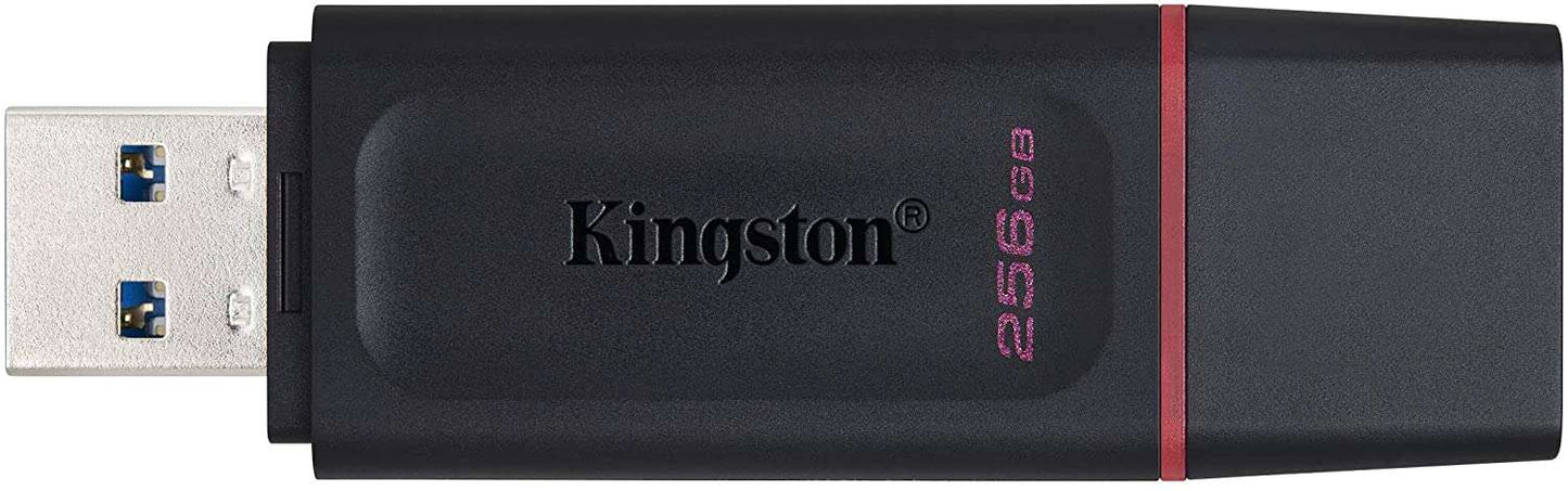 Kingston Technology - DataTraveler Exodia unidad flash USB 256 GB USB tipo A 3.2 Gen 1 (3.1 Gen 1) Negro  Rosa