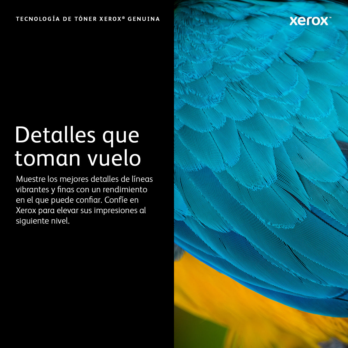 Xerox Cartucho de tóner cián de capacidad normal para Phaser 6600/WorkCentre 6605 (2000 páginas)