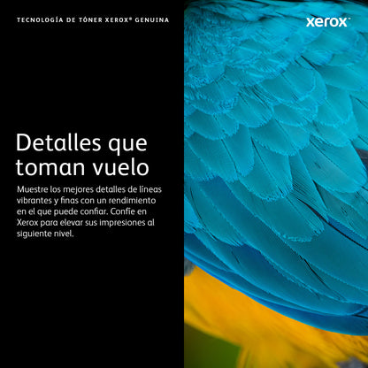 Xerox Cartucho de tóner negro de capacidad normal para Phaser 6600/WorkCentre 6605 (3000 páginas)