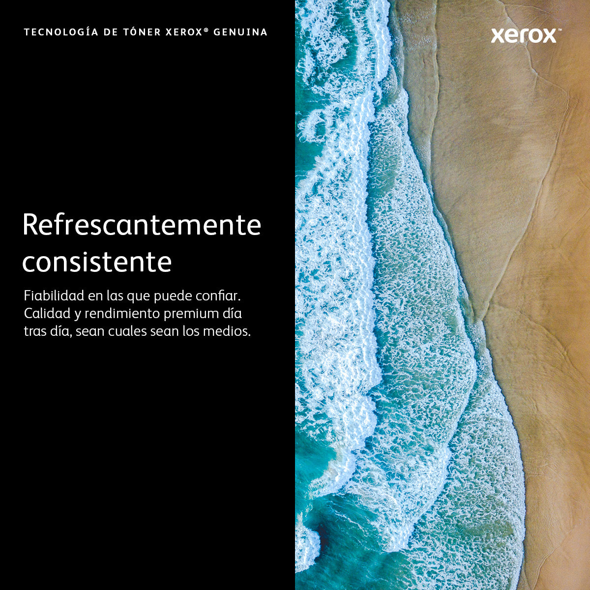 Xerox Cartucho de tóner cián de capacidad normal para Phaser 6600/WorkCentre 6605 (2000 páginas)