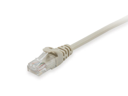 Equip - 625413 cable de red Beige 0 25 m Cat6 U/UTP (UTP)