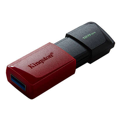 Kingston Technology - DataTraveler Exodia M unidad flash USB 128 GB USB tipo A 3.2 Gen 1 (3.1 Gen 1) Negro  Rojo