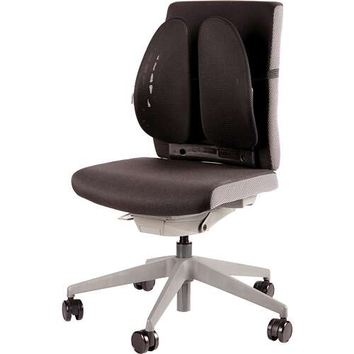 Fellowes - 8026401 soporte lumbar para respaldos Negro