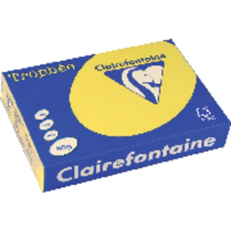 Clairefontaine - CLF P.500H COL.INTENS.A3 80G.AMSOL 1887C