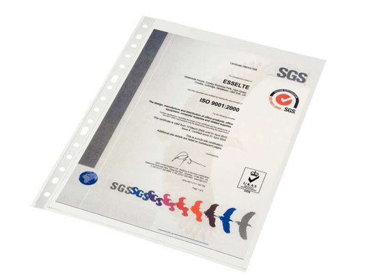 Esselte - ESD B.10 FUNDAS PP FOLIO ESTANDAR 56200