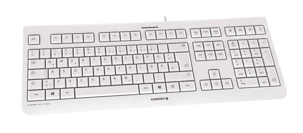 CHERRY - KC 1000 teclado USB Español Gris