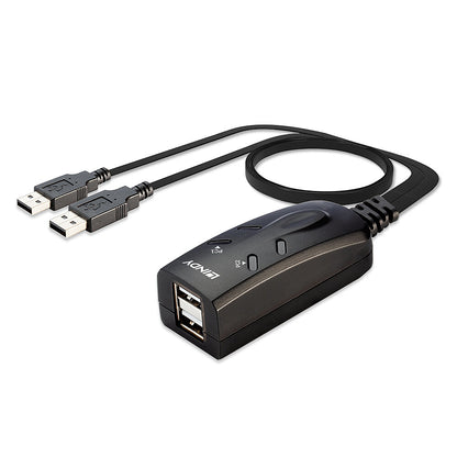 Lindy - 32165 interruptor KVM Negro