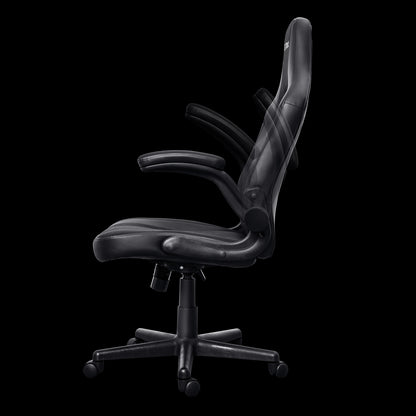 Trust GXT 703 Riye Silla Gaming - Reposabrazos - Ruedas de Nylon - Piston de Gas Clase 4 - Base Metal - Peso Max. 140Kg - Color Negro 1 pieza(s)