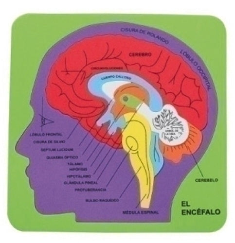 Fixo - GOMA EVA FIXO PUZZLE 21x21 SISTEMA CEREB