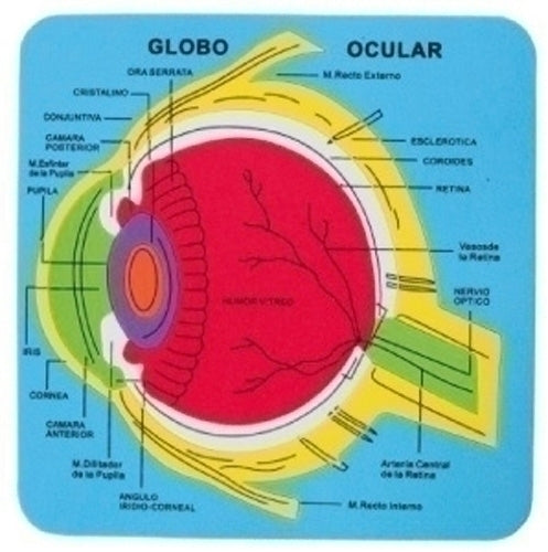 Fixo - GOMA EVA FIXO PUZZLE 21x21 SISTEMA OCULA