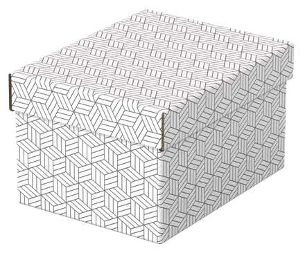 Esselte - 628280 caja de almacenaje Rectangular Cartón Blanco