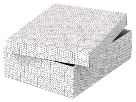 Esselte - 628284 caja de almacenaje Rectangular Cartón Blanco