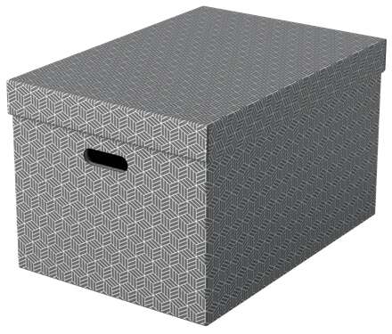 Esselte - 628287 caja de almacenaje Rectangular Cartón Gris