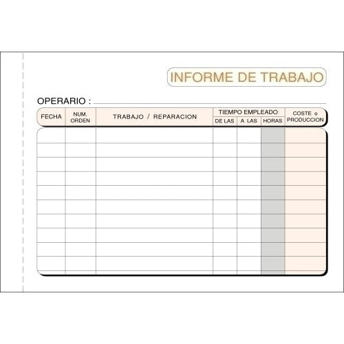 Loan - TALONARIO INFORME TRABAJO 8º APAIS.COPIA