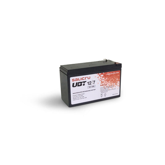 Salicru - UBT 12/7 Batería AGM recargable de 7 Ah / 12 V