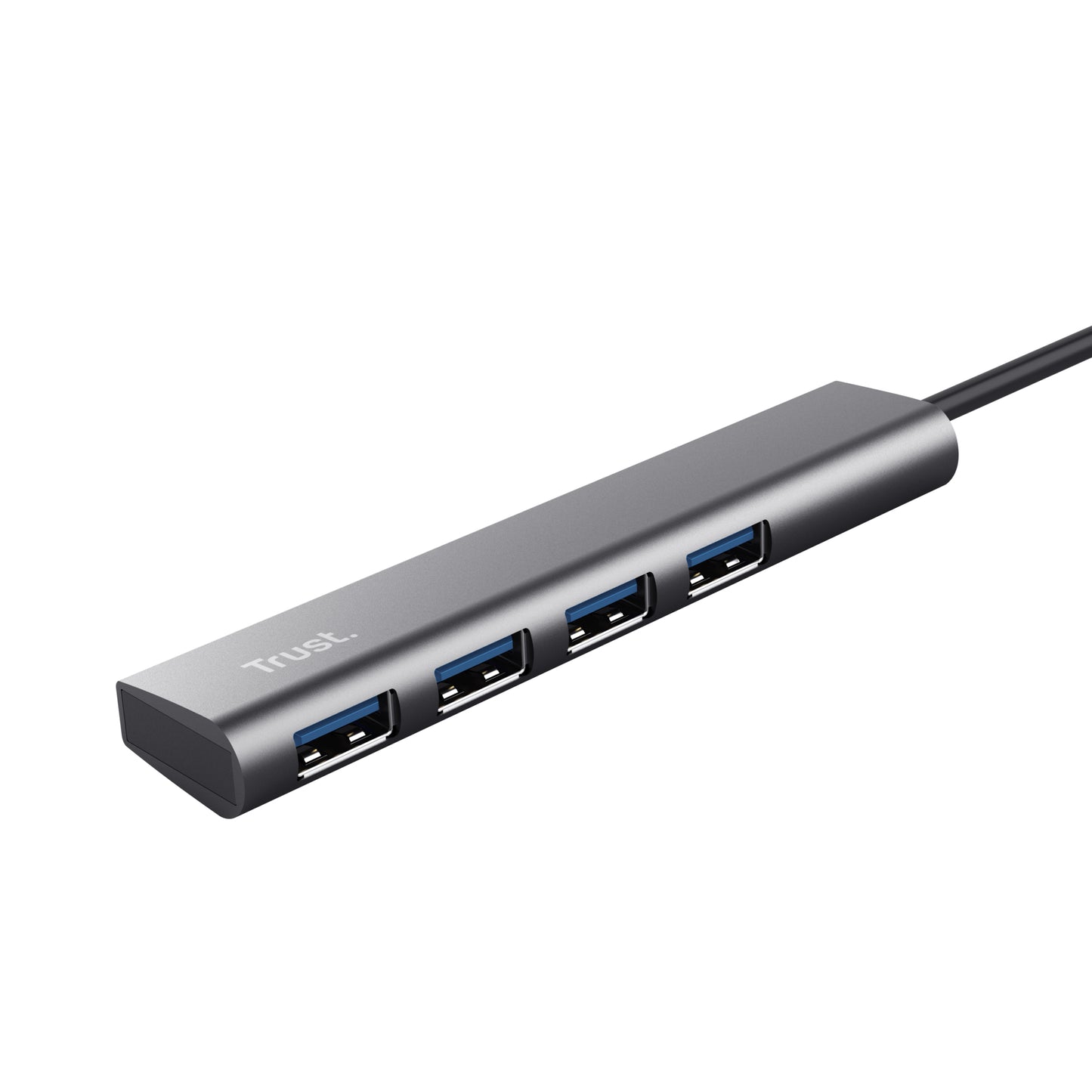 Trust Halyx USB 3.2 Gen 1 (3.1 Gen 1) Type-A 5 Mbit/s Gris