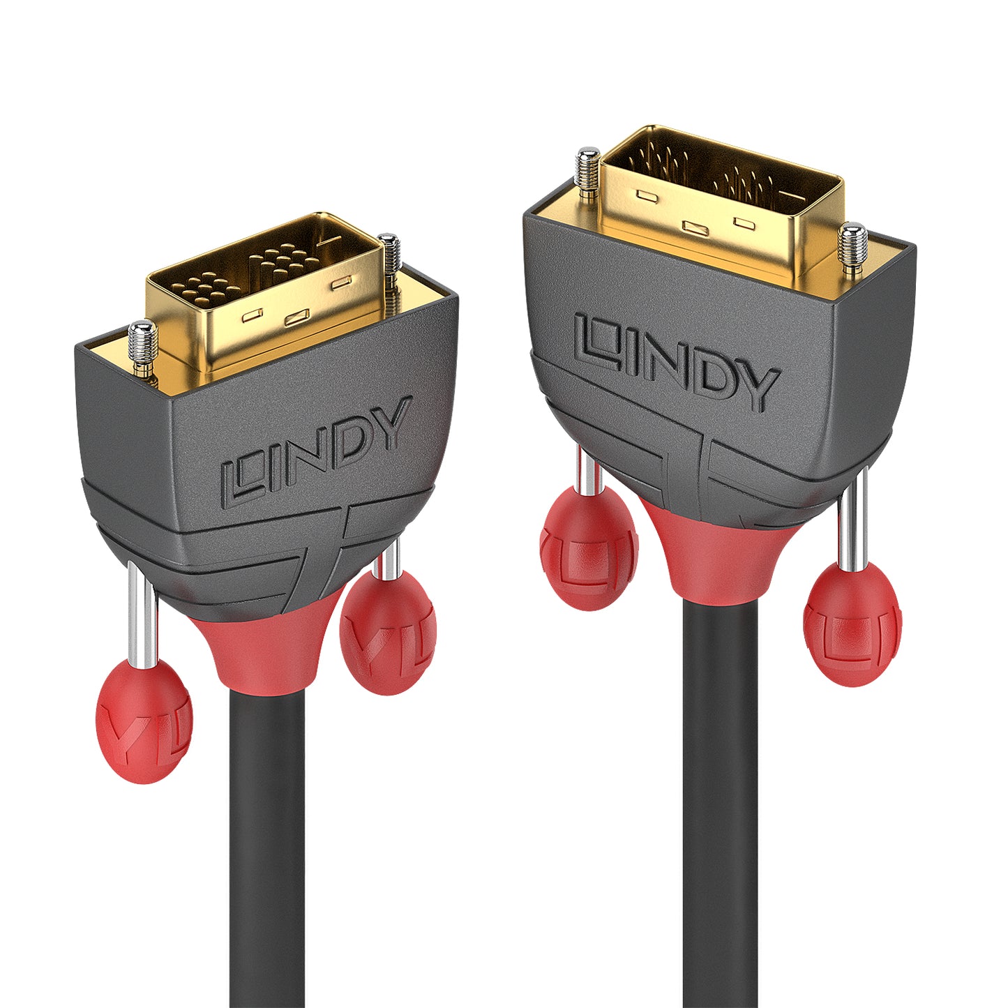 Lindy - 36240 cable DVI 10 m DVI-D Negro