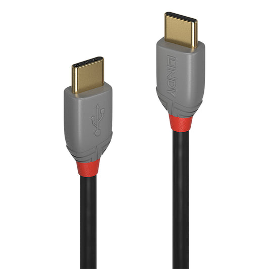 Lindy - 36873 cable USB USB 2.0 3 m USB C Negro  Gris