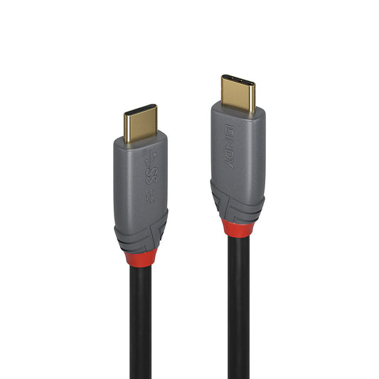 Lindy - 36902 cable USB 1 5 m USB C Negro  Gris