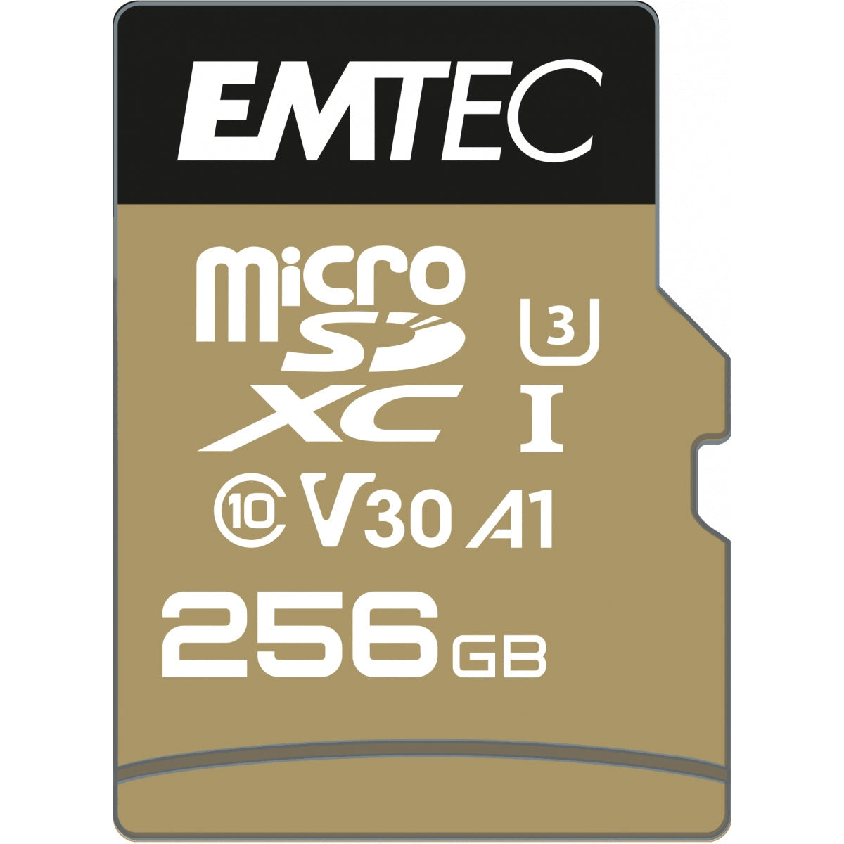 Emtec - SpeedIN Pro memoria flash 256 GB MicroSDXC UHS-I Clase 10