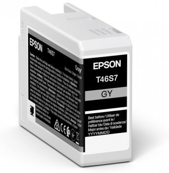 Epson UltraChrome Pro cartucho de tinta 1 pieza(s) Original Gris