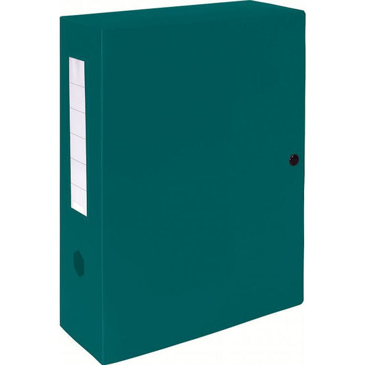 Exacompta - 59933E archivador organizador Verde