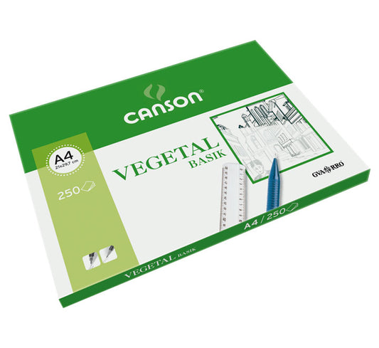 Canson - C200406219 papel decorativo Arte de papel 250 hojas