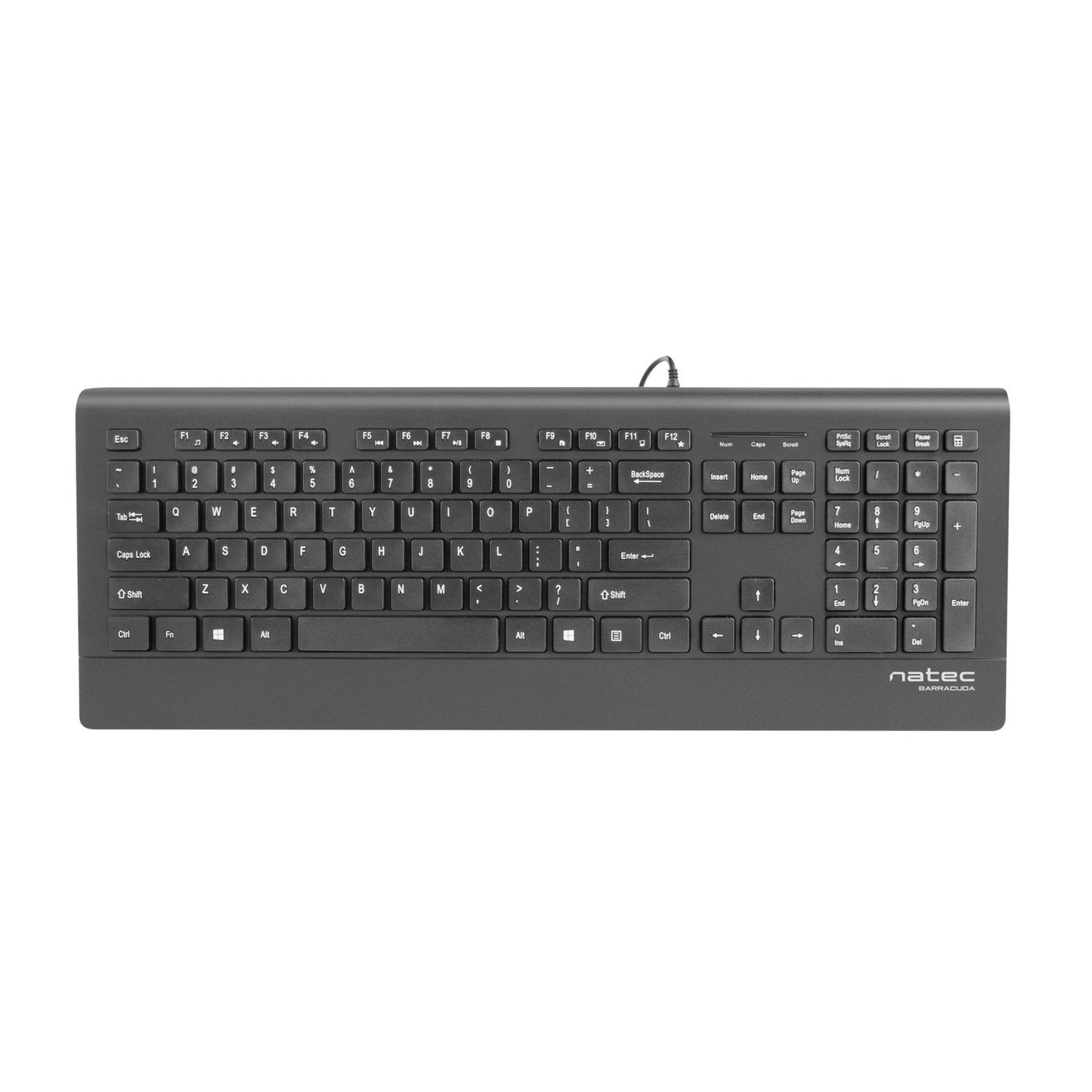 NATEC - Barracuda teclado Universal USB QWERTY Español Negro