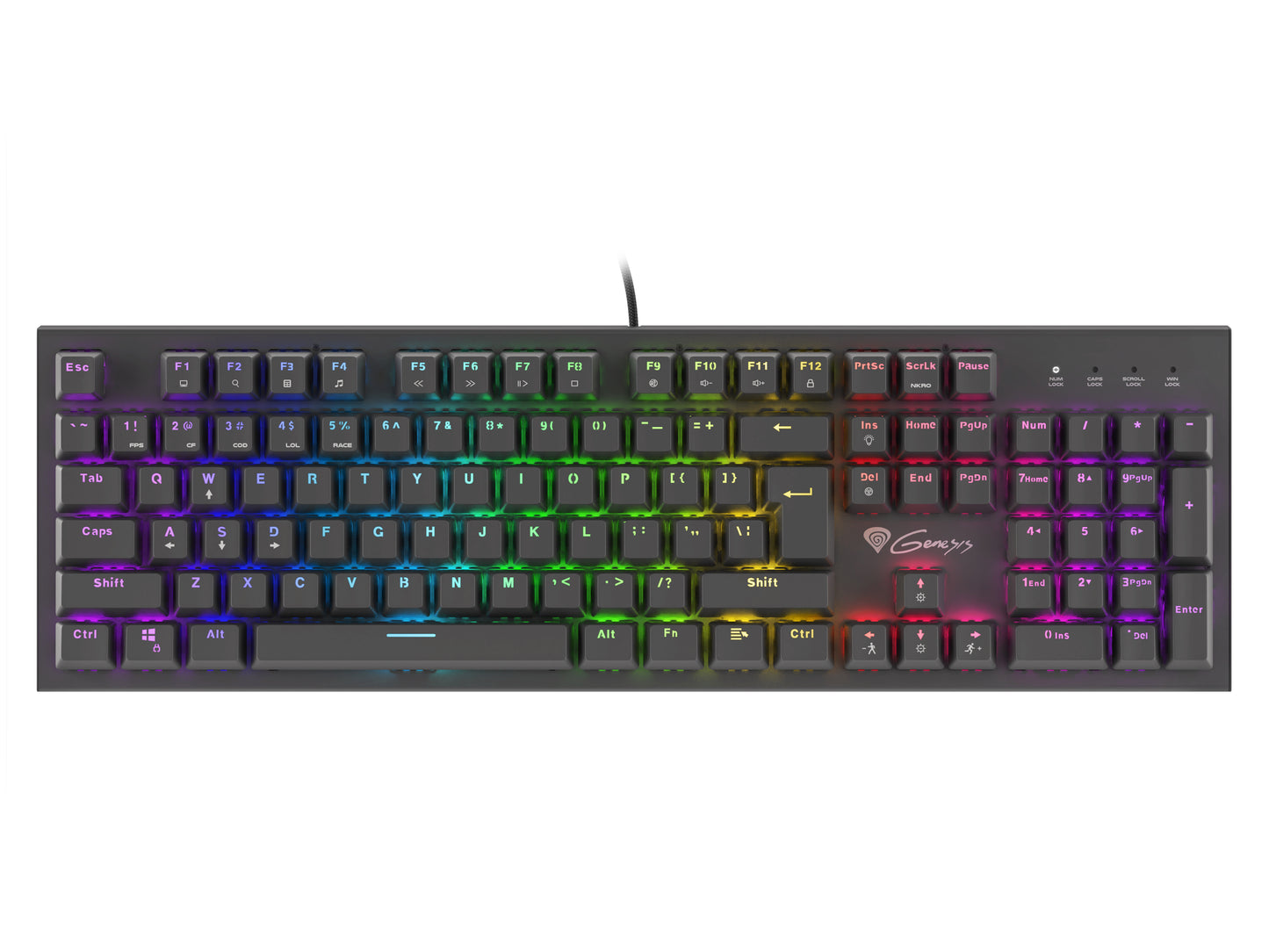 Natec Genesis - TECLADO GAMING GENESIS THOR 300 USB