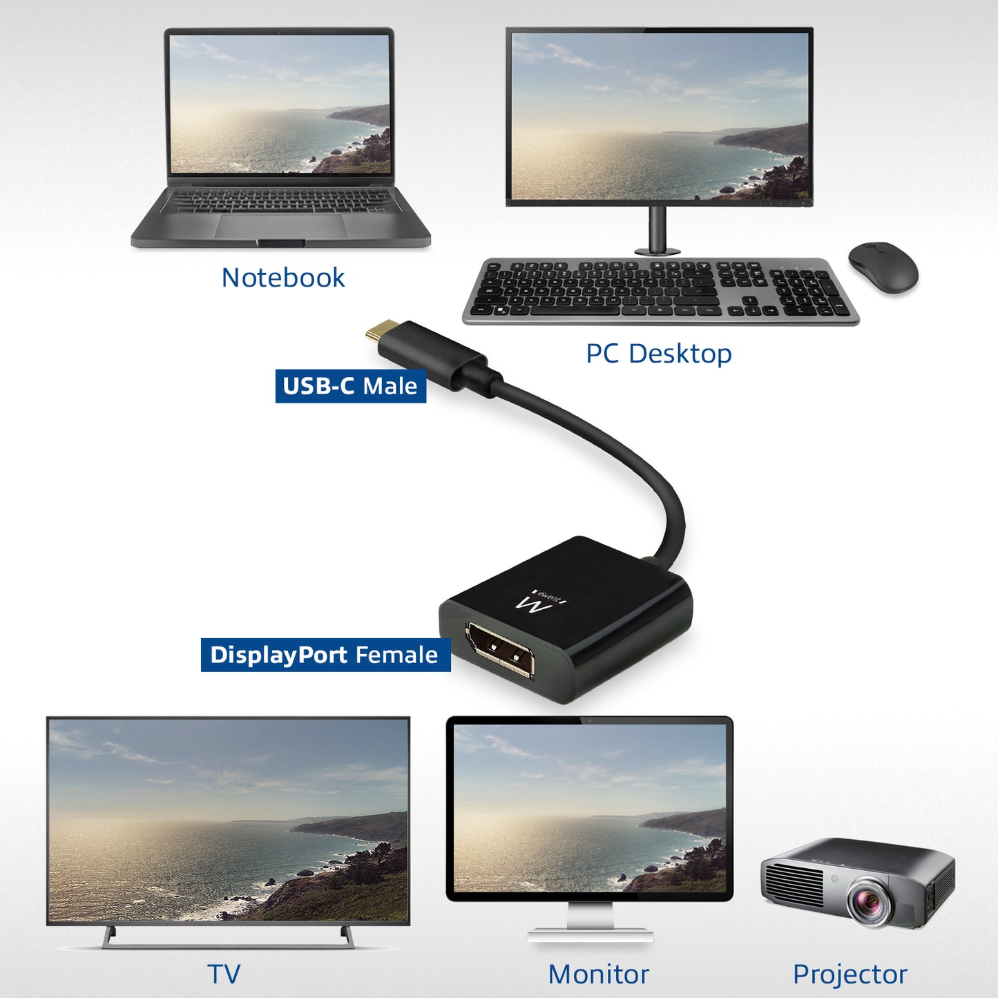 Ewent - EW9825 adaptador de cable de vídeo 0 15 m USB Tipo C DisplayPort Negro