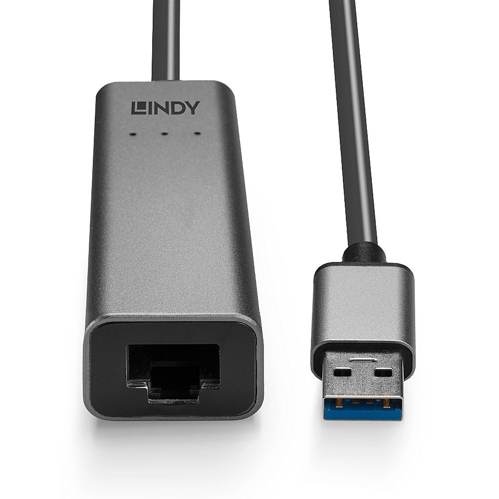 Lindy - 43313 cambiador de género para cable USB-A RJ-45 Plata