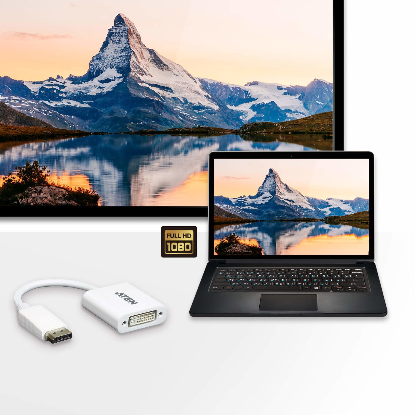 ATEN - Adaptador de DisplayPort a DVI