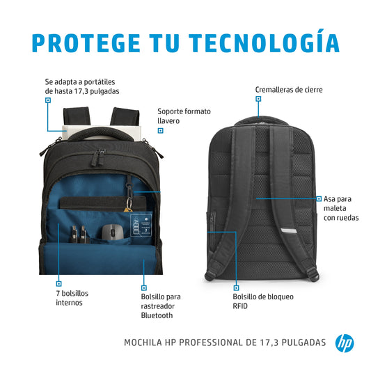 HP - Professional 17.3-inch Backpack