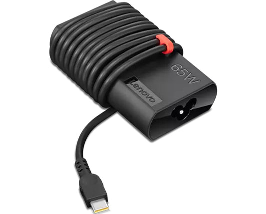 Lenovo GX20Z46255 adaptador e inversor de corriente Interior / exterior Negro