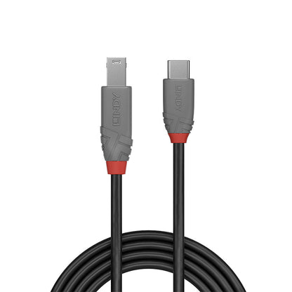 Lindy - 36666 cable USB 1 m USB 3.2 Gen 1 (3.1 Gen 1) USB C USB B Negro