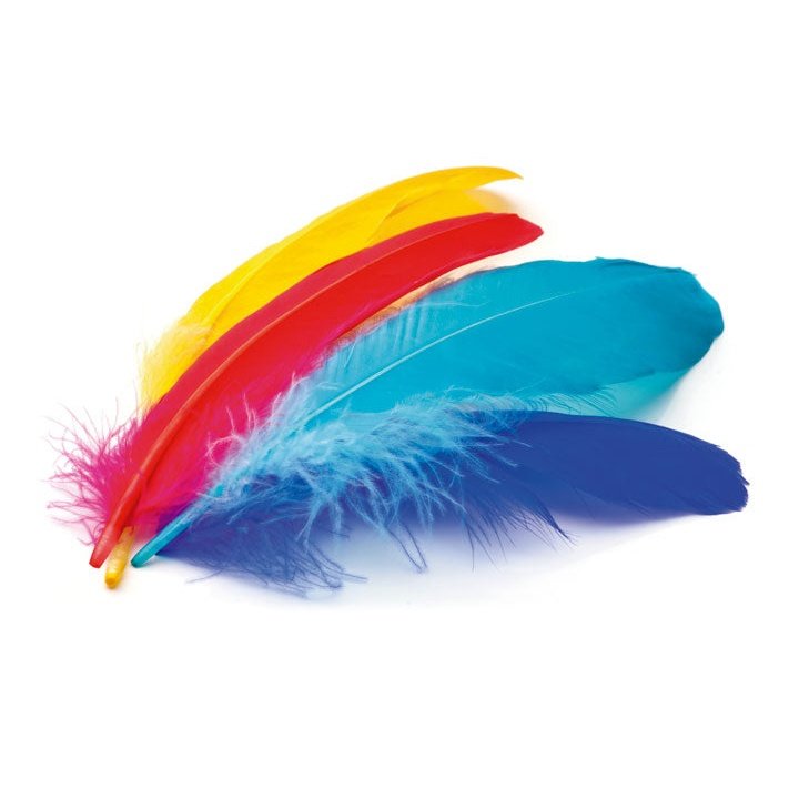 Niefenver - B.50U PLUMAS INDIO NIEFENVER 6 COLOR. STDO 0900208