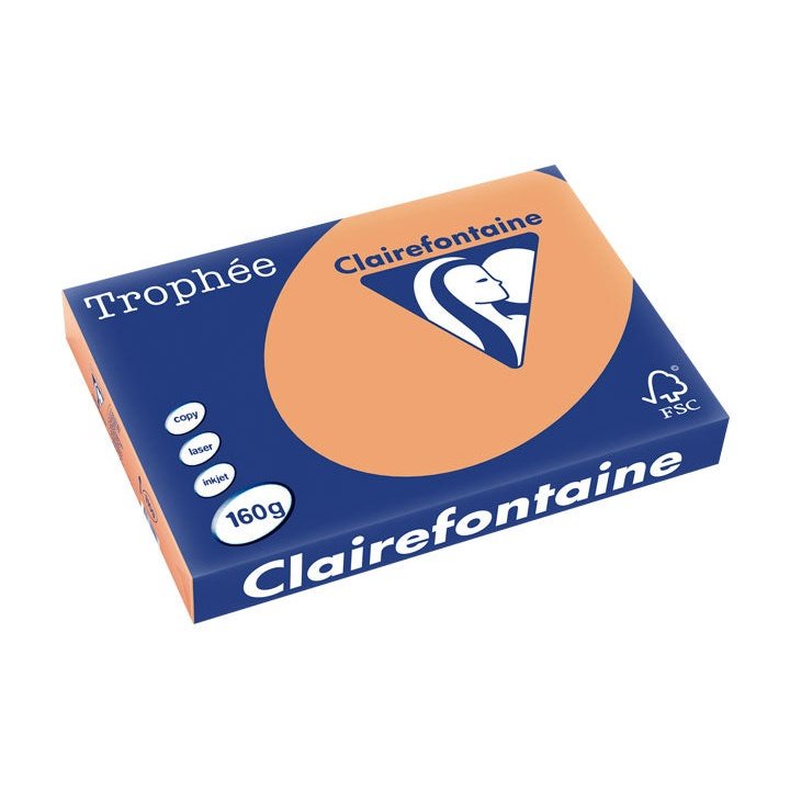 Clairefontaine - PAQ. 250H PAP. TROPHEE CLF SUAVE A3 160G CARAMELO