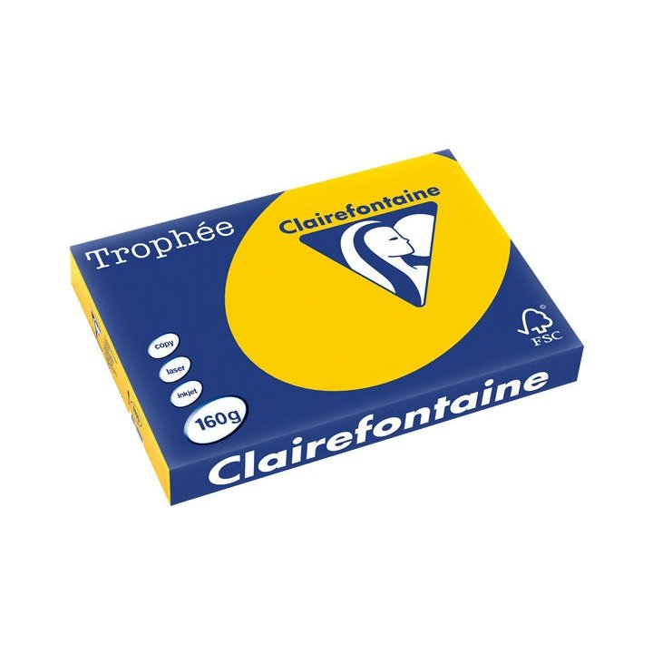 Clairefontaine - PAQ. 250H PAP. TROPHEE CLF SUAVE A3 160G OCRE CL