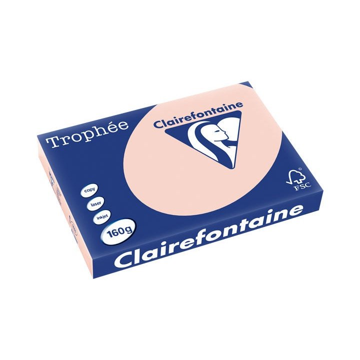 Clairefontaine - PAQ. 250H PAP. TROPHEE CLF SUAVE A3 160G CARNE