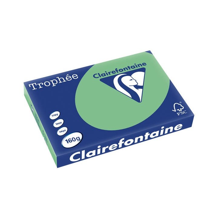 Clairefontaine - PAQ. 250H PAP. TROPHEE CLF SUAVE A3 160G VER NATU