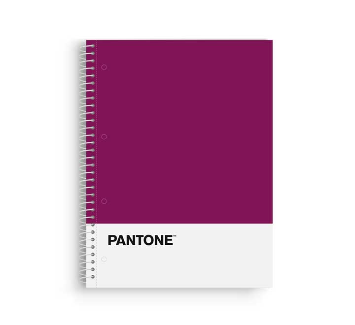 Escolofi - BLOCK ESCOL.PANTONE A4 BASIC 80h 5x5 VL