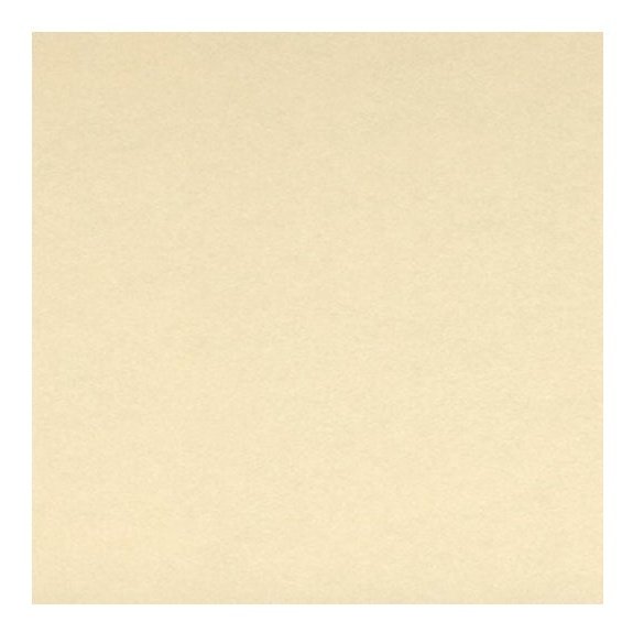 Canson - Sand Grain Bloc de hojas de papel para bellas artes 40 hojas