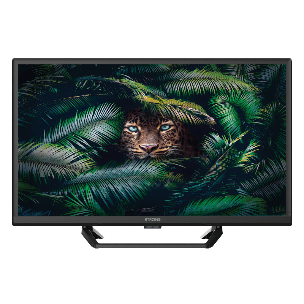 Strong - SRT 24HE4023C 61 cm (24") HD Negro 180 cd / m²